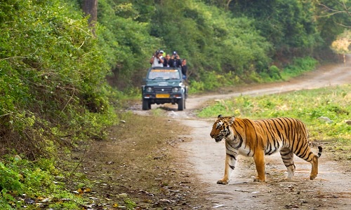 Day 1 Arrival at Corbett Day 1 Arrival at Corbett