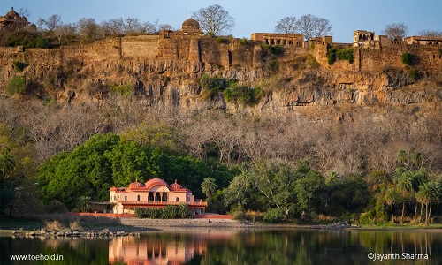 Day 9 Ranthambore - Agra Day 9 Ranthambore - Agra