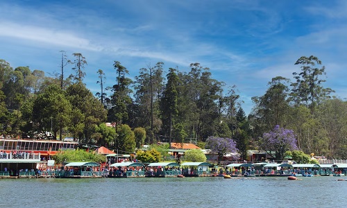 Day 2 Ooty Coonoor Ooty Day 2 Ooty Coonoor Ooty