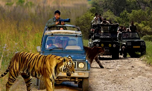 Day 2 Corbett Jeep Safari Day 2 Corbett Jeep Safari