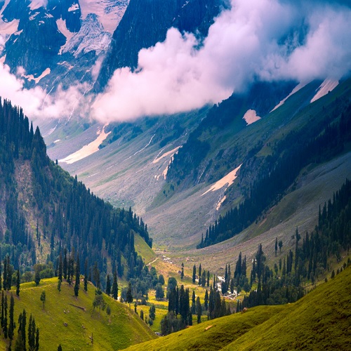 Magical Kashmir Economy