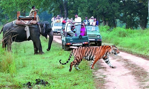 Jim Corbett Tour Package