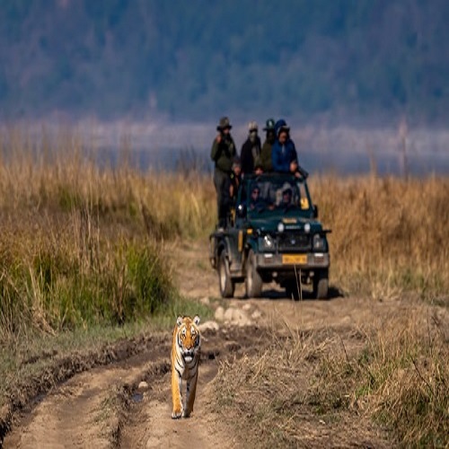 Corbett Holiday Tour Package