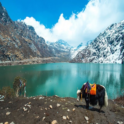 Darjeeling Tour Package