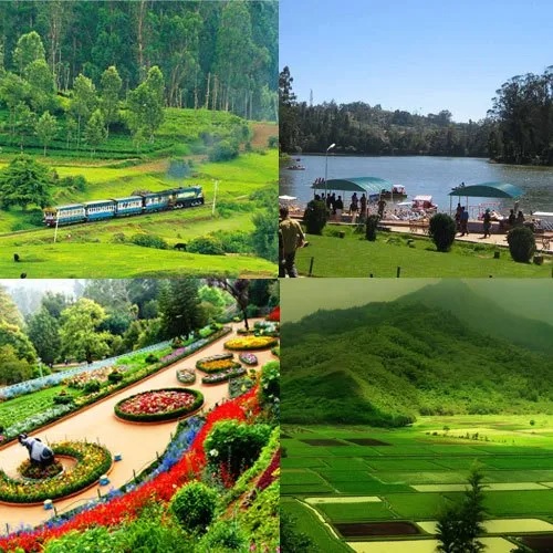 Ooty Tour Package Weekend Special