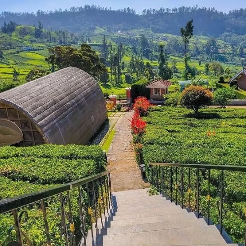 Oooty Kodaikanal Honeymoon Package