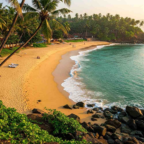 Kerala Hill Backwater & Beach Tour Package